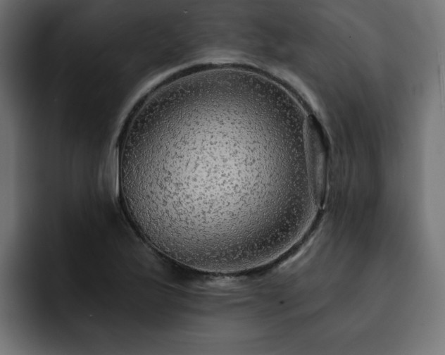X0000093111175200710031311