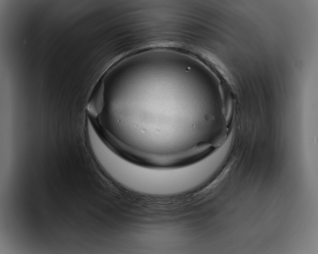 X0000093111177200710031310