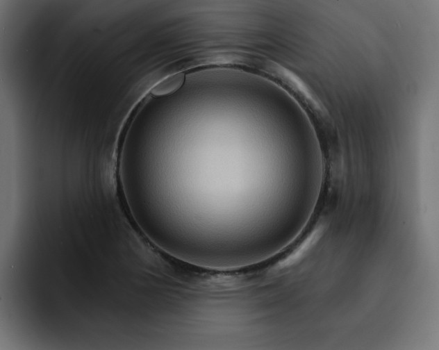 X0000093111178200710031310