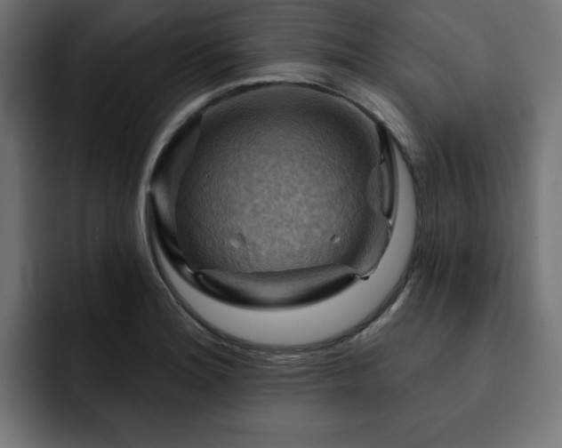 X0000093111180200710031310