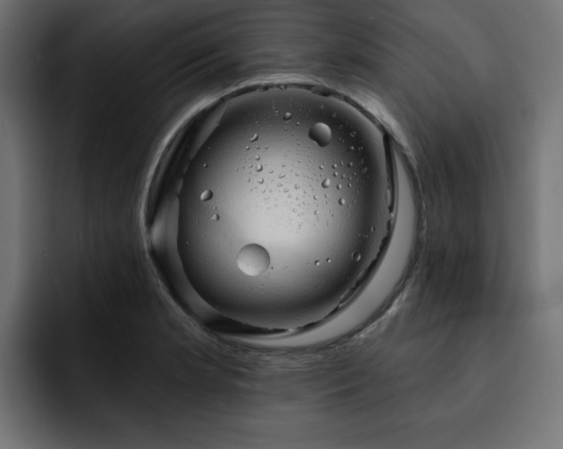X0000093111181200710031310