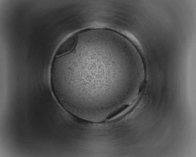 X0000093111183200710031310