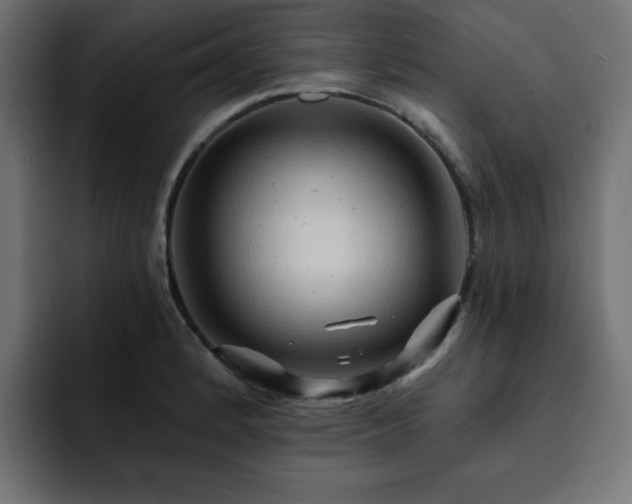 X0000093111184200710031310