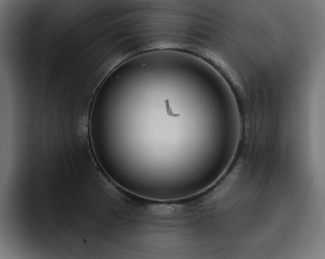 X0000093111185200710031310