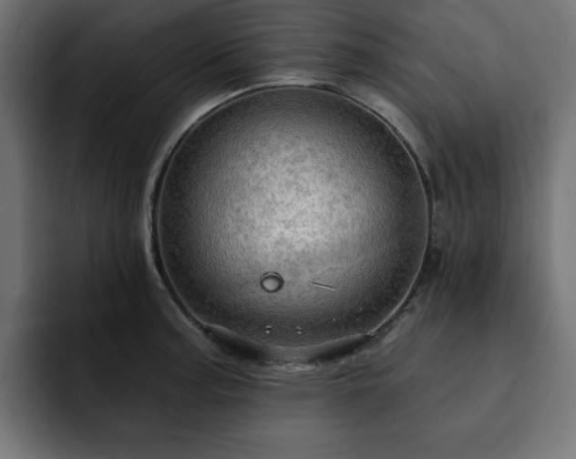 X0000093111187200710031310