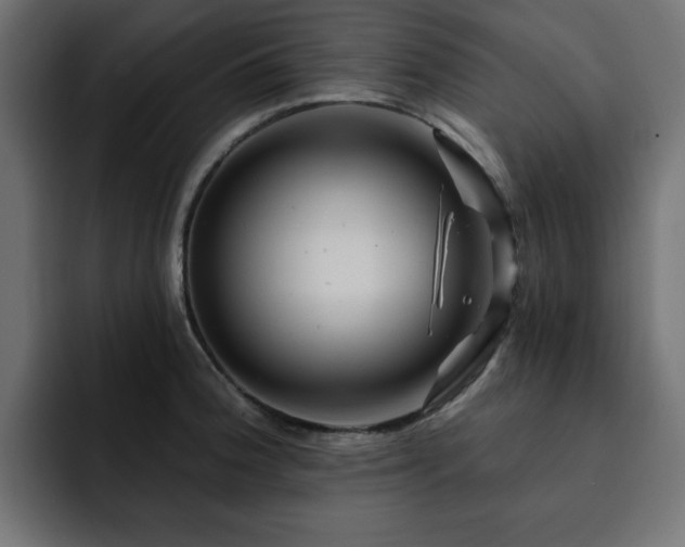 X0000093111188200710031310