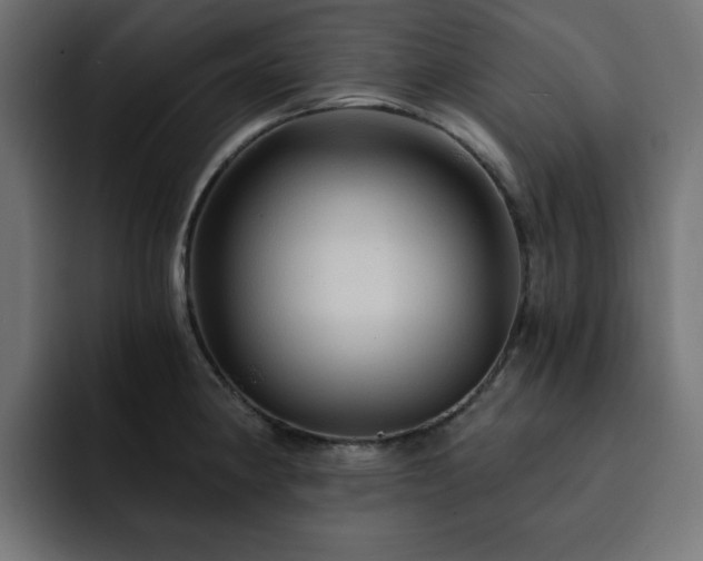 X0000093111190200710031310