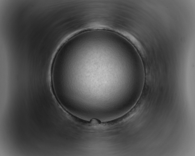 X0000093111191200710031310