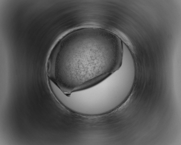 X0000093111192200710031310