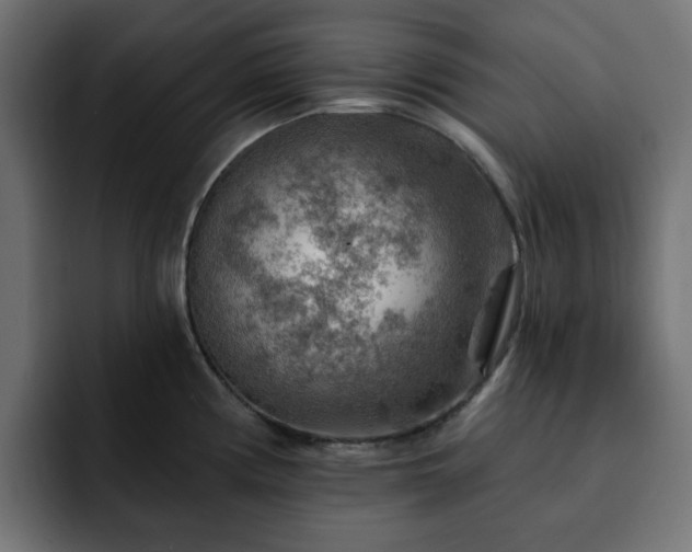 X0000093111194200710031310