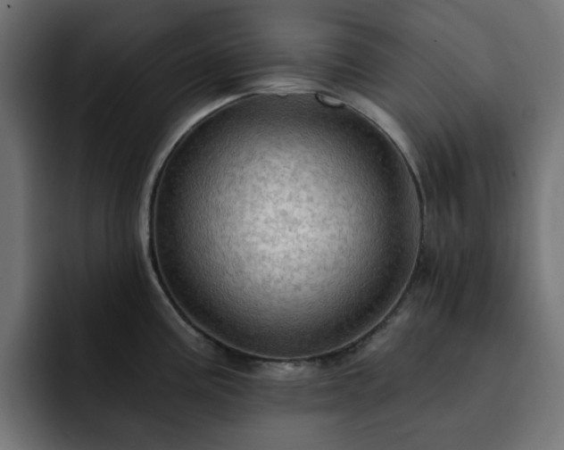 X0000093111195200710031310