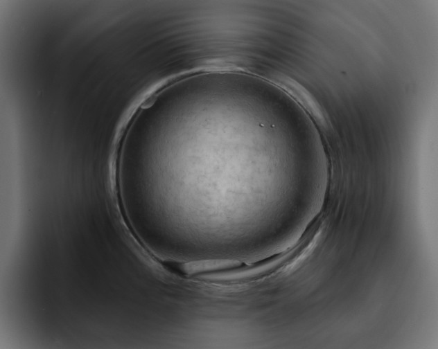 X0000093111196200710031310