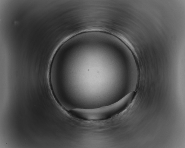 X0000093111197200710031310