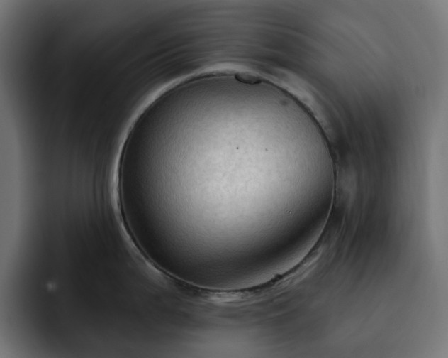 X0000093111199200710031310