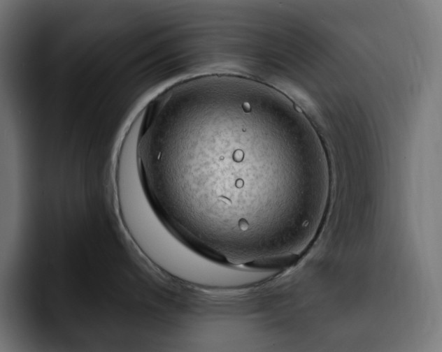 X0000093111200200710031310