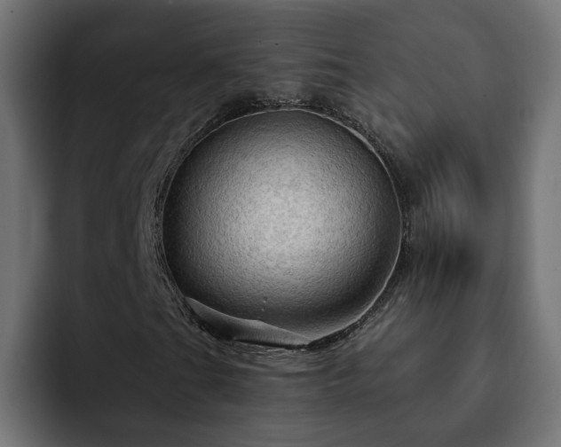 X0000093111201200710031310