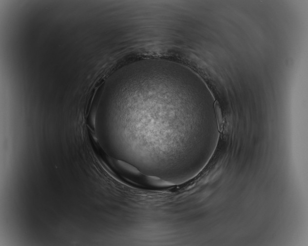 X0000093111202200710031310