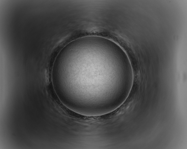 X0000093111205200710031310