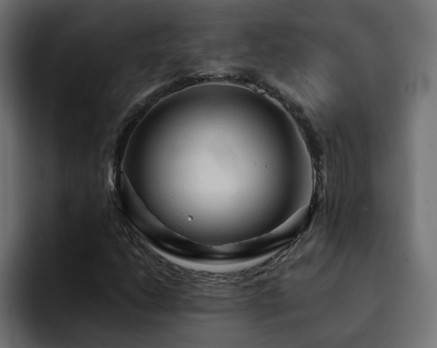 X0000093111206200710031310