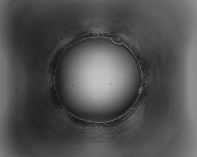 X0000093111207200710031310