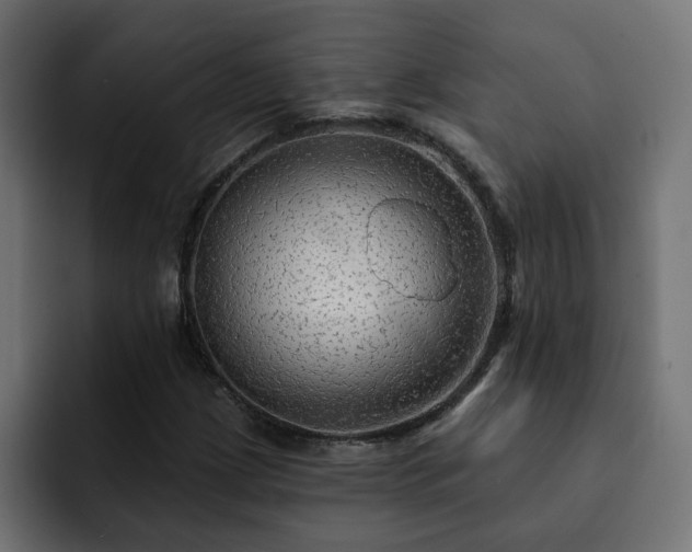 X0000093111209200710031310