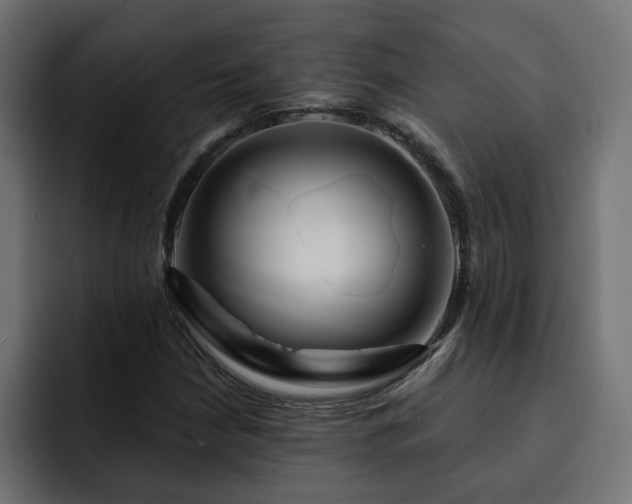 X0000093111210200710031310