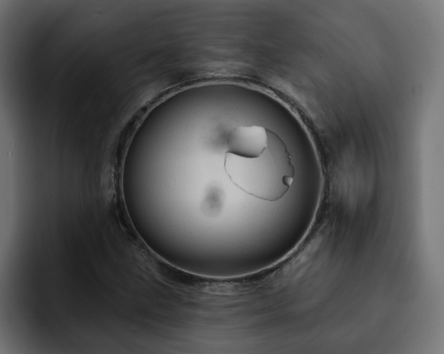 X0000093111211200710031310