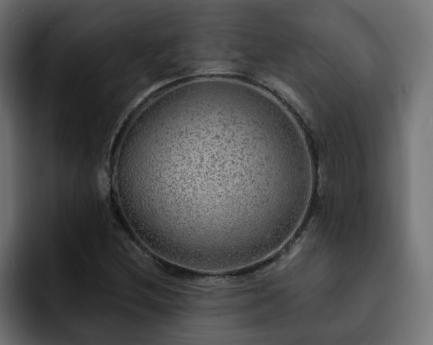 X0000093111212200710031310