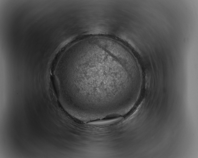 X0000093111213200710031310