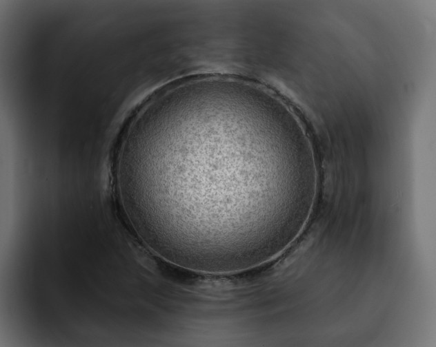 X0000093111215200710031310