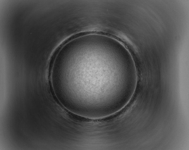 X0000093111216200710031310