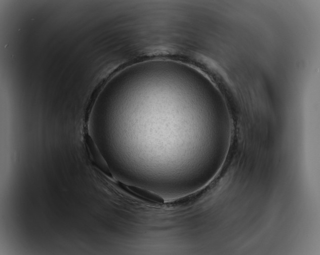 X0000093111217200710031310