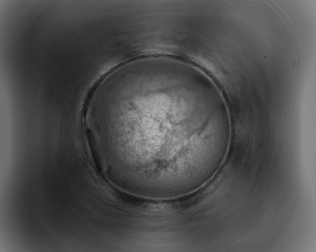 X0000093111219200710031310