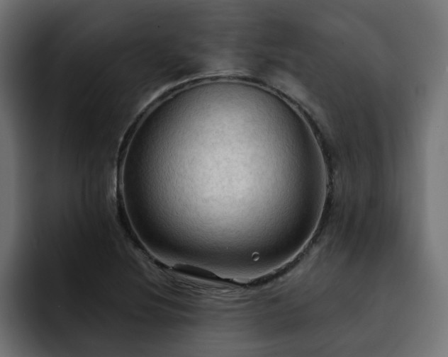 X0000093111220200710031310