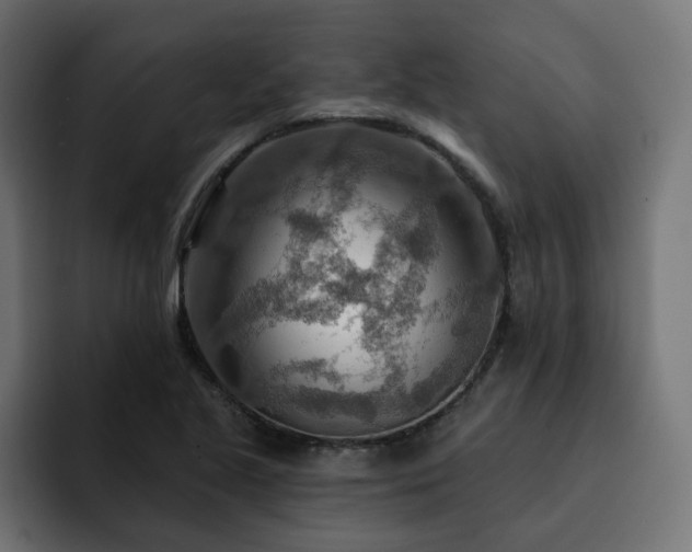 X0000093111221200710031310