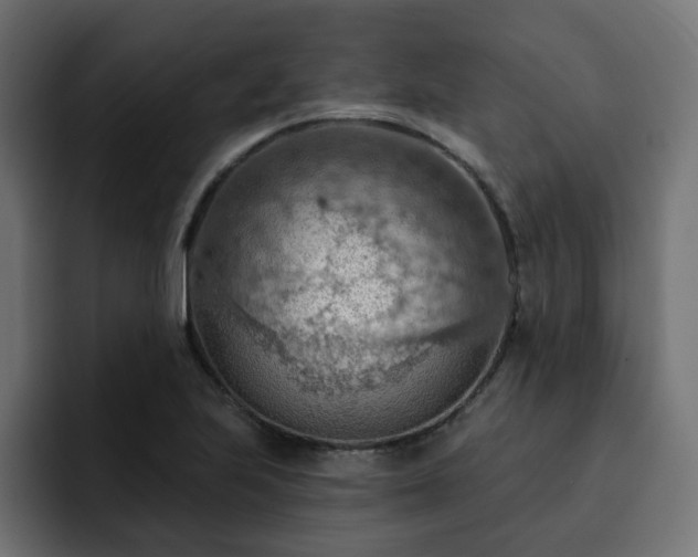 X0000093111223200710031310