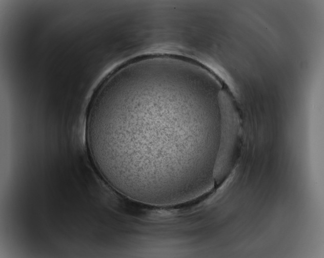 X0000093111224200710031310
