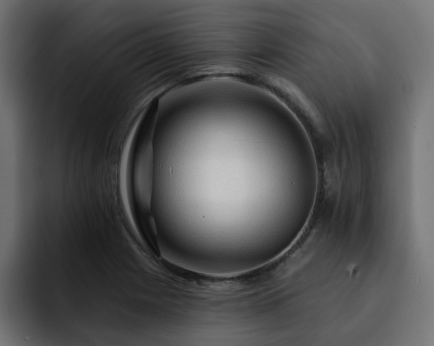X0000093111225200710031310