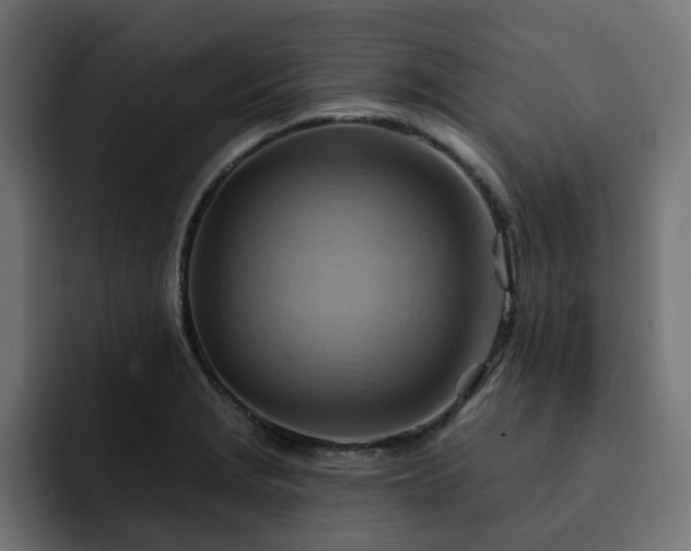 X0000093111229200710031310