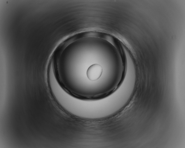 X0000093111230200710031310