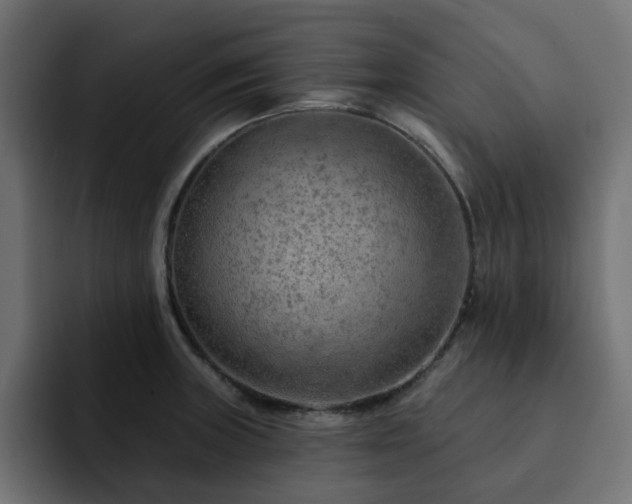 X0000093111235200710031310
