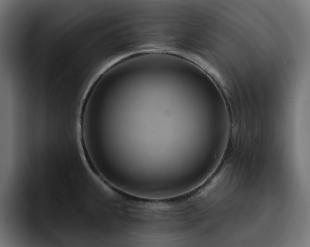 X0000093111239200710031310