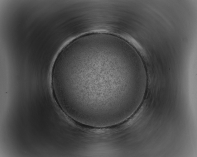 X0000093111240200710031310