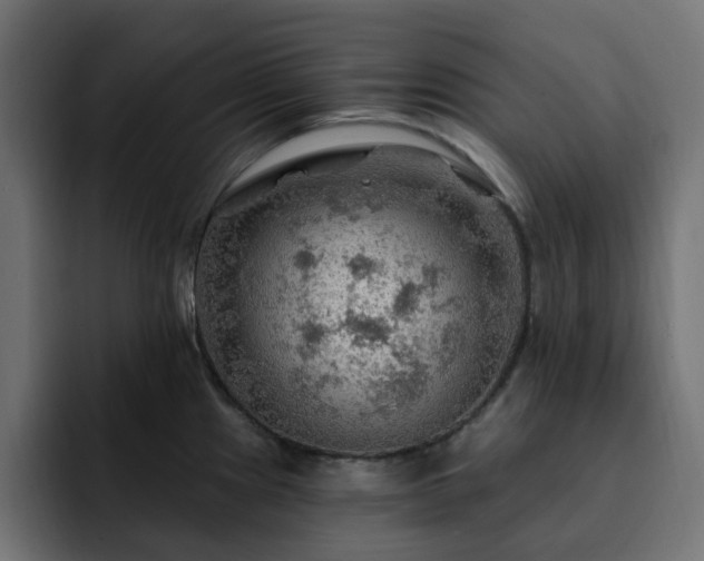X0000093111241200710031310