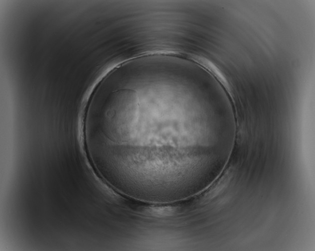 X0000093111243200710031310
