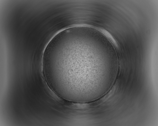X0000093111244200710031310