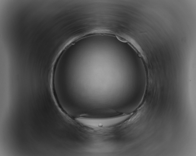 X0000093111245200710031310
