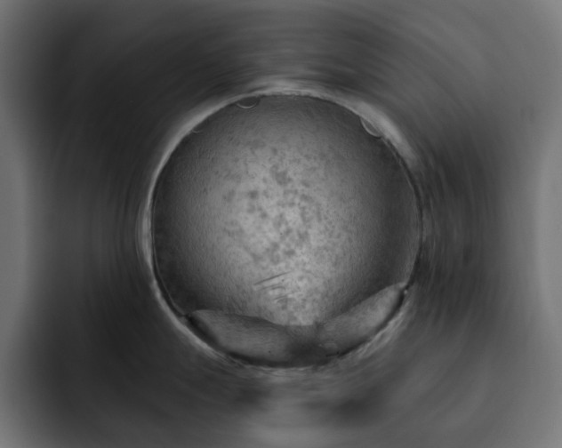 X0000093111247200710031310