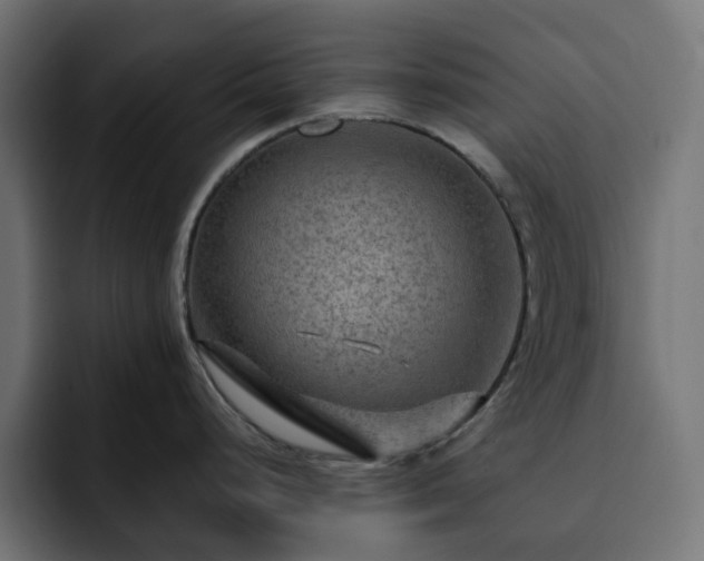 X0000093111248200710031310