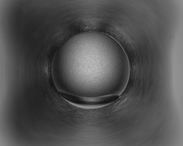 X0000093111250200710031310
